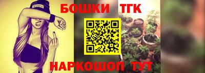 mdpv Краснознаменск